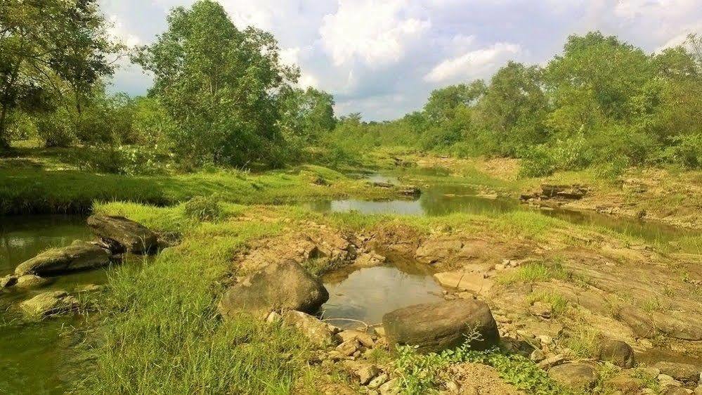 Kula Kula Luxury Camping Resort 우다왈라웨 외부 사진