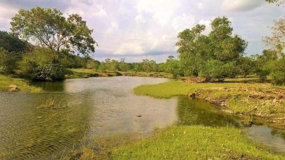 Kula Kula Luxury Camping Resort 우다왈라웨 외부 사진
