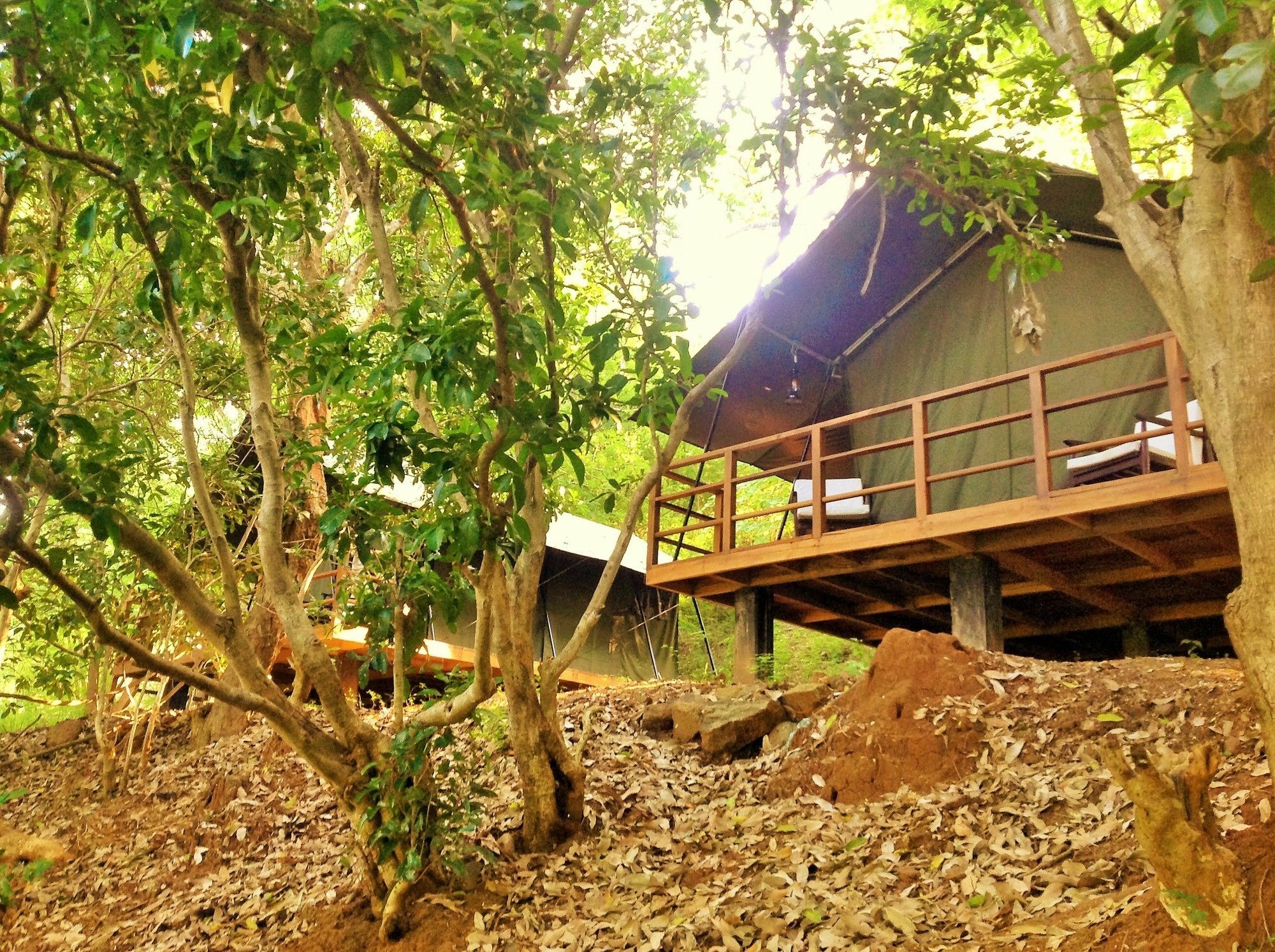 Kula Kula Luxury Camping Resort 우다왈라웨 외부 사진